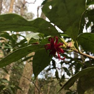 Meet your Posher, Eva